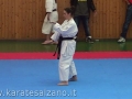 CAMPIONATO REGIONALE FIK - 2013