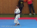 CAMPIONATO REGIONALE FIK - 2013