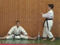 CAMPIONATO REGIONALE FIK - 2013
