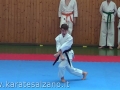 CAMPIONATO REGIONALE FIK - 2013