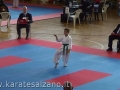 CAMPIONATO REGIONALE FIK - 2013