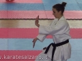 CAMPIONATO REGIONALE FIK - 2013