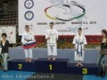 MONDIALE PER CLUB - 2013