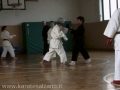 STAGE CON IL SENSEI TOYOZO FUJIOKA