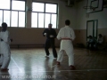 STAGE CON IL SENSEI TOYOZO FUJIOKA