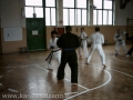 STAGE CON IL SENSEI TOYOZO FUJIOKA
