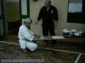 STAGE CON IL SENSEI TOYOZO FUJIOKA