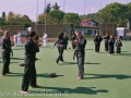STAGE SENSEI DAYTON GUINNE