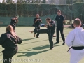 STAGE SENSEI DAYTON GUINNE