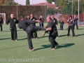 STAGE SENSEI DAYTON GUINNE