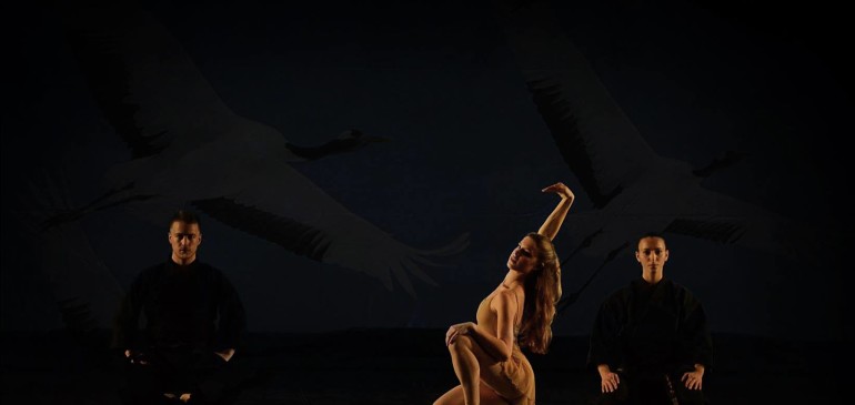LA GRU BIANCA È ARRIVATA AL TEATRO TONIOLO
