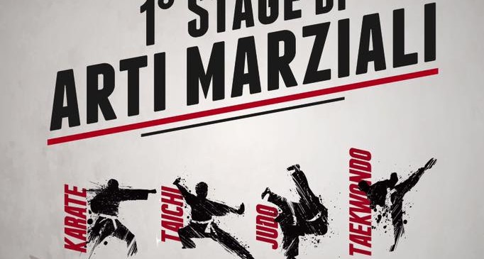 Stage arti marziali 2015